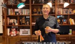 刘云天爆料视频大全最新,揭秘娱乐圈不为人知的一面